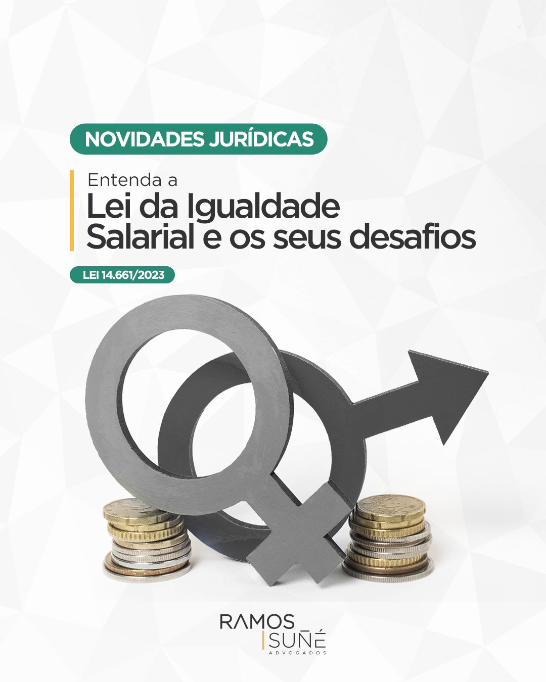 lei da igualdade salarial e os seus desafios Ramos Suné